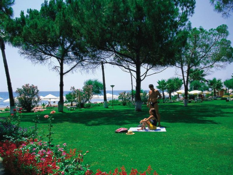 Barut Acanthus & Cennet 63153