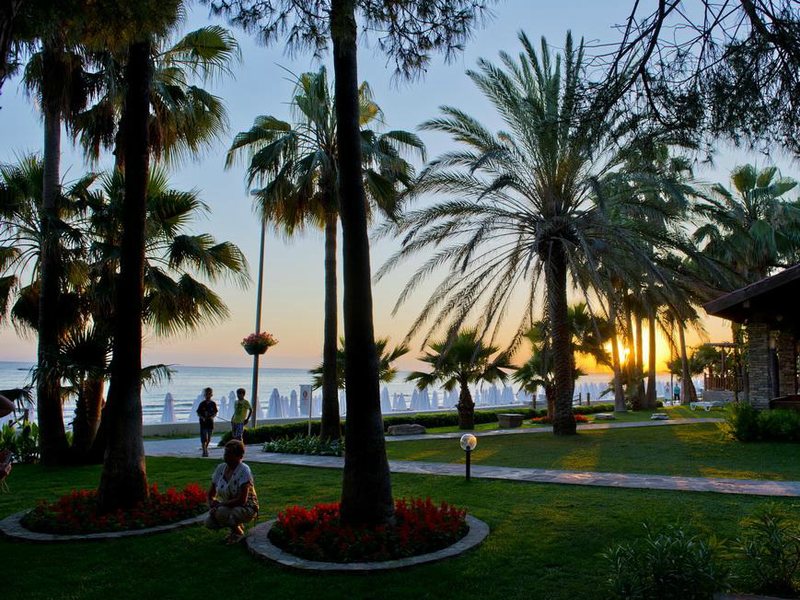 Barut Acanthus & Cennet 63155