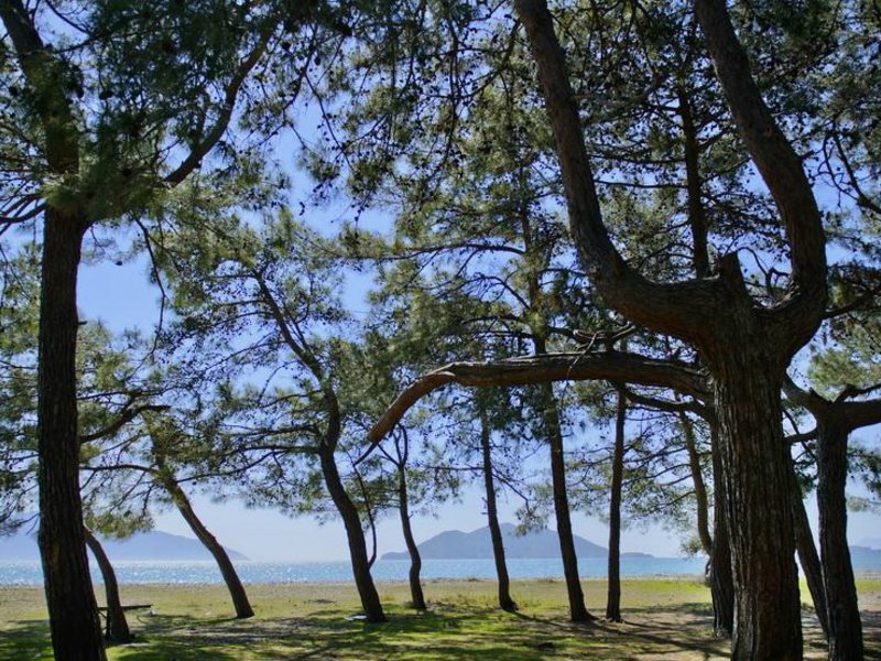 Barut Fethiye Sensatori 70700