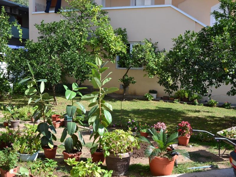 Bastrica Apartment 307550