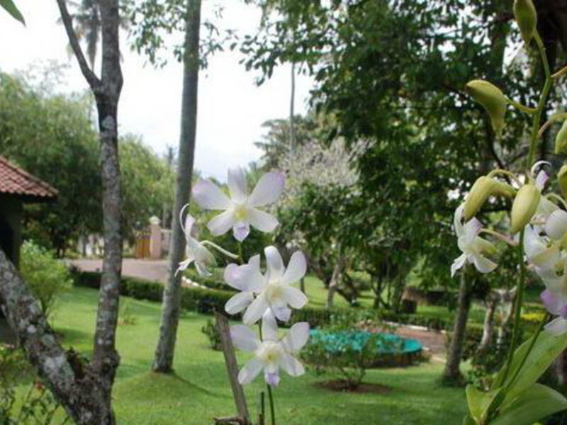 Bay Beach Hotel 106376