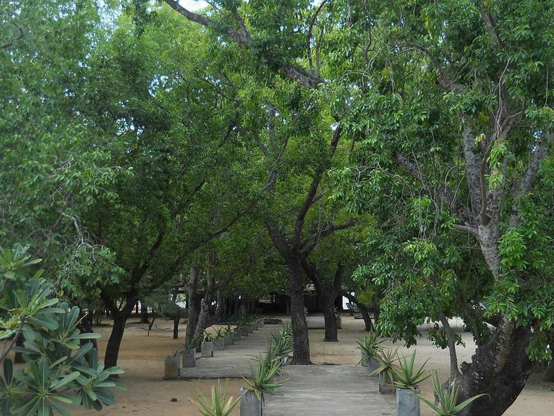 Bay Beach Hotel Nilaveli 107154