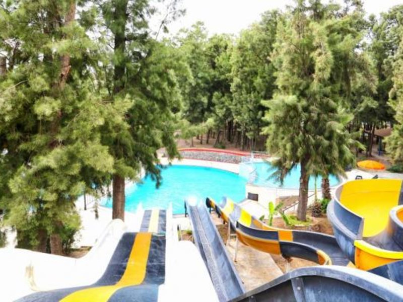 Bayar Garden Beach HV-1 281333