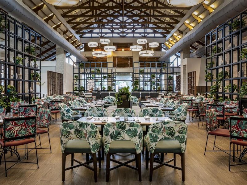 Be Live Collection Punta Cana 292434