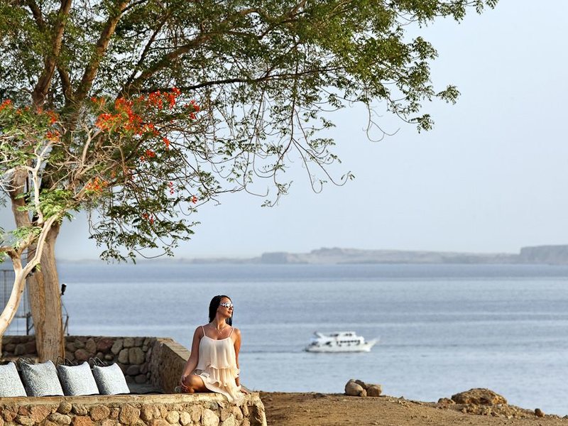 Beach Albatros Sharm 122067