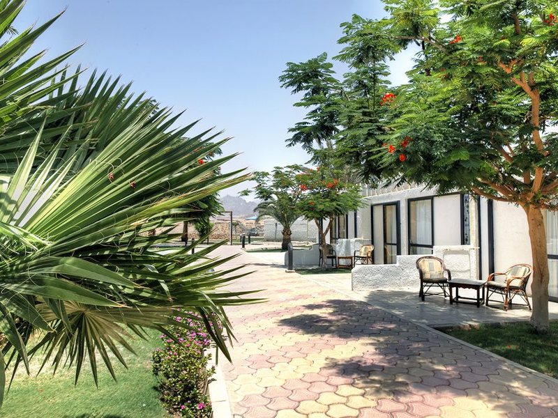 Beach Albatros Sharm 122070