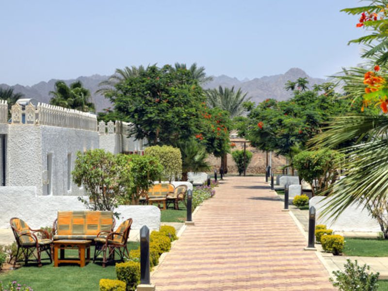 Beach Albatros Sharm 50503