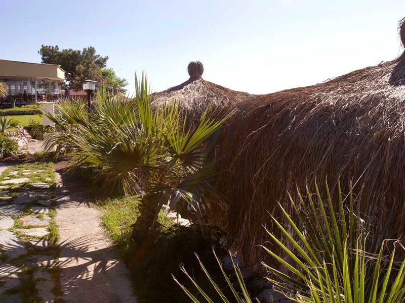 Beach Club Pinara 184792