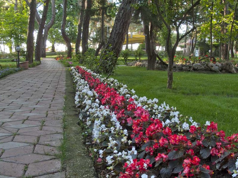 Beach Club Pinara 184793