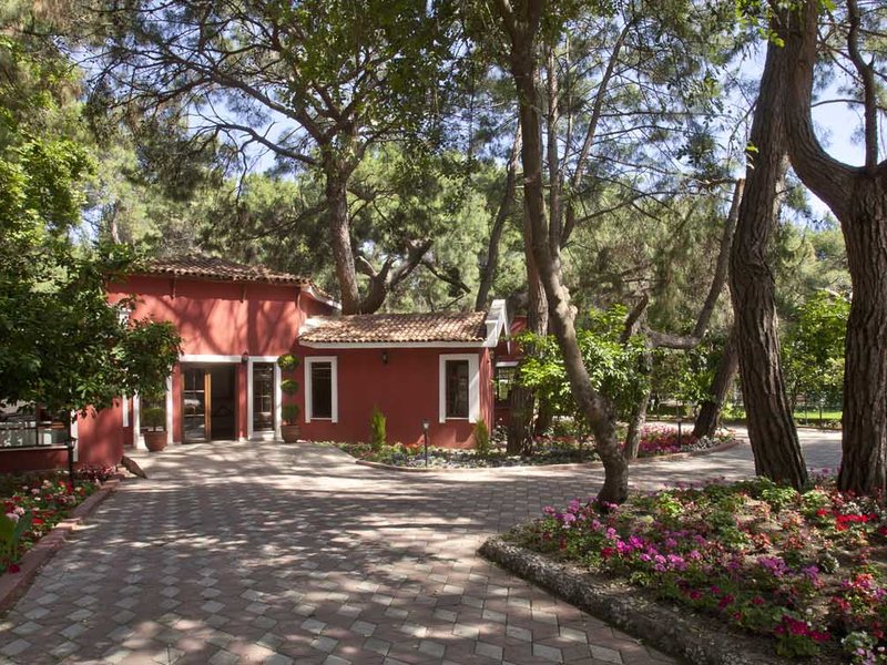 Beach Club Pinara 184810