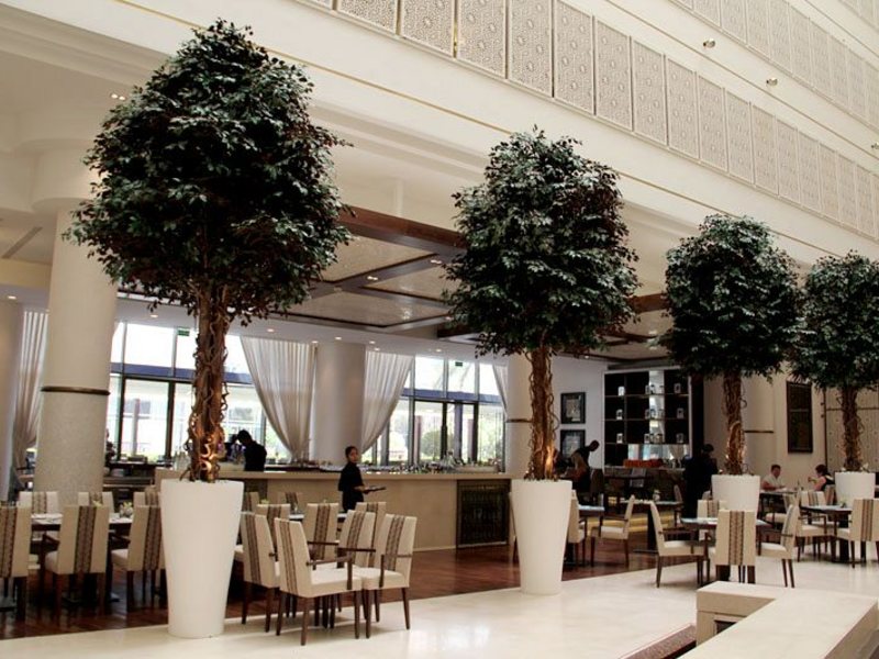 Beach Rotana Hotel  45521