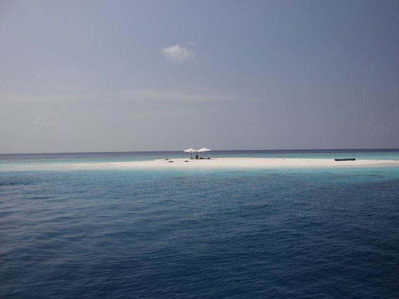 Beachwood Hotel 227884