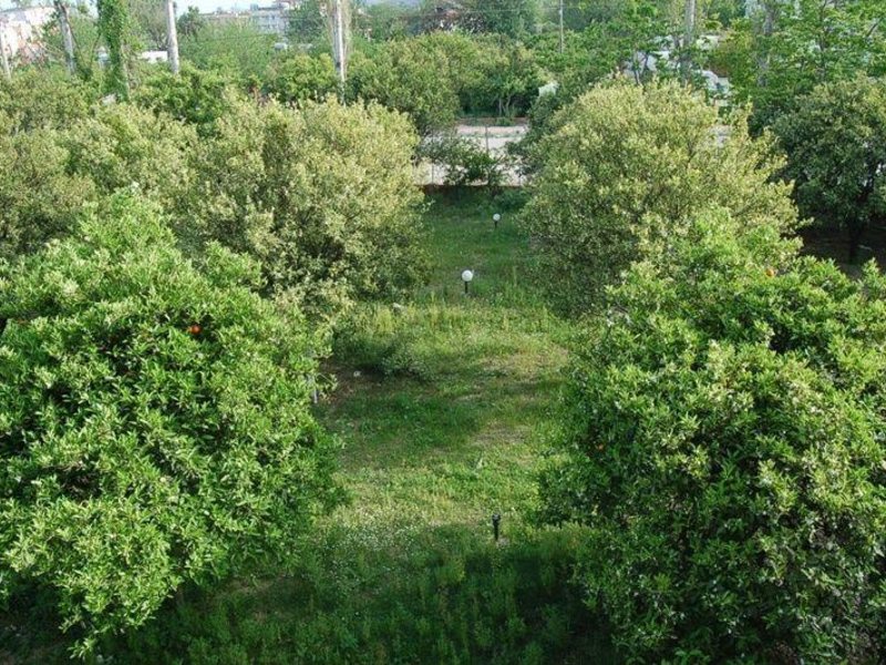 Bellavue Hotel 33131