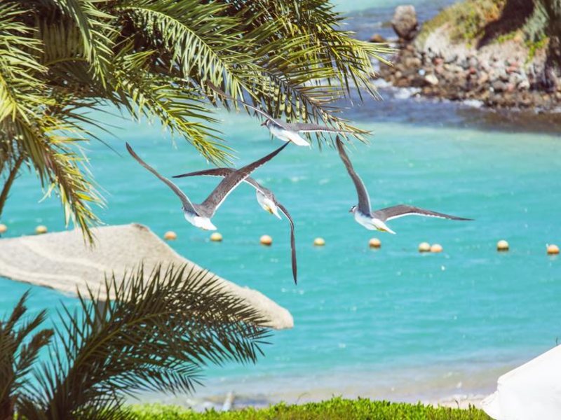 Bellevue Beach Hotel 191204