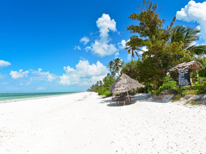 Bellevue Zanzibar 321883