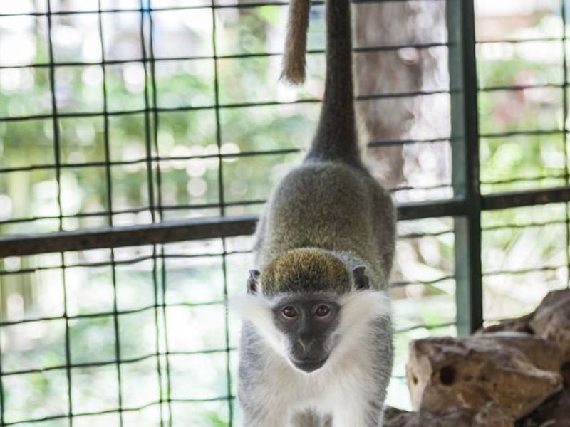 Bellis Deluxe Hotel  72419