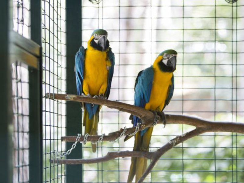 Bellis Deluxe Hotel  72426