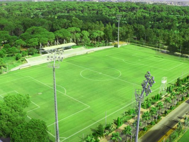 Bellis Deluxe (ех 160966