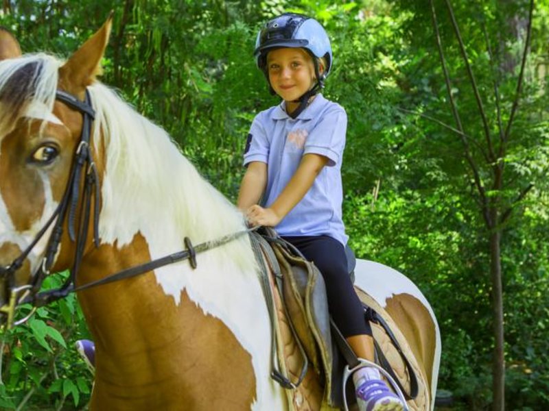 Bellis Deluxe (ех 160968