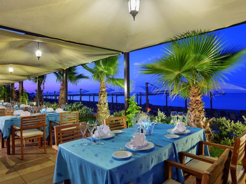 Bellis Deluxe (ех 160971