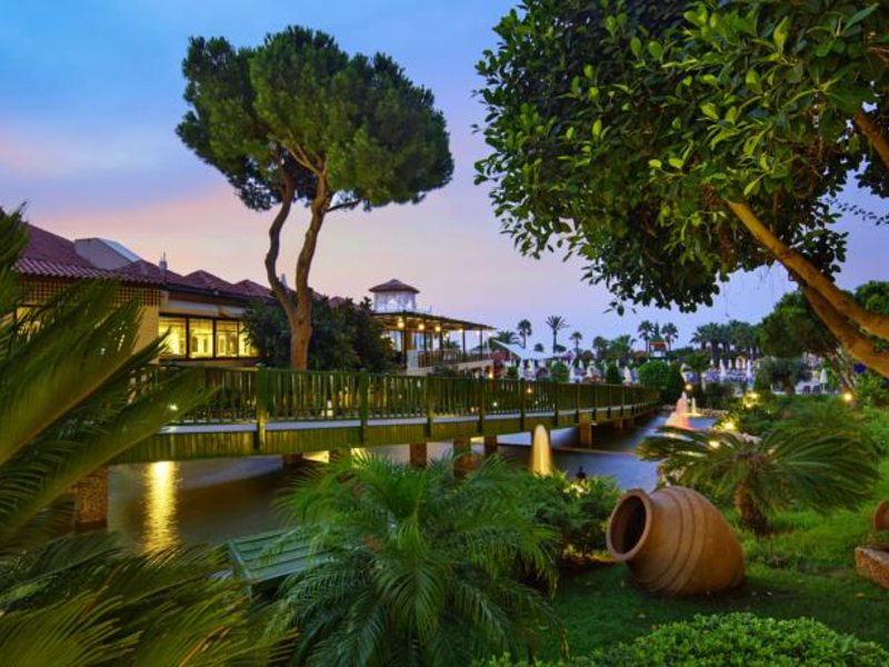 Bellis Deluxe (ех 160976