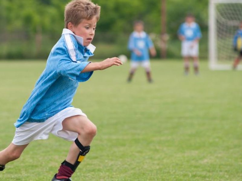 Bellis Deluxe (ех 160986