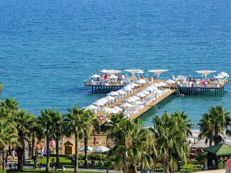 Bellis Deluxe (ех 160989