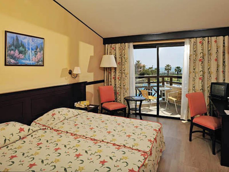 Bellis Deluxe (ех 8956