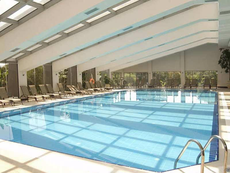 Bellis Deluxe (ех 8964