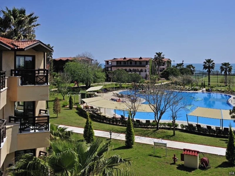 Bellis Deluxe (ех 8965