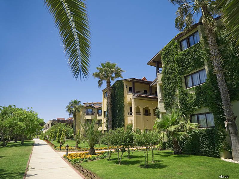 Bellis Deluxe (ех 8969