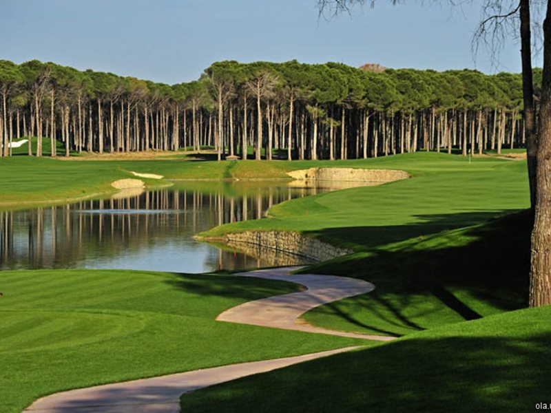 Bellis Deluxe (ех 8970