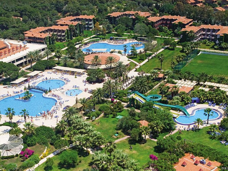 Bellis Deluxe (ех 8971