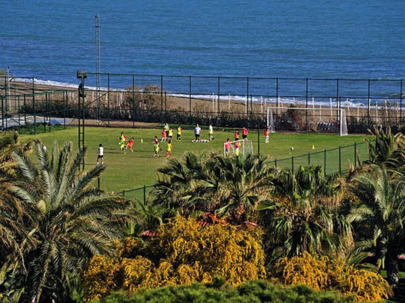 Bellis Deluxe (ех 8972