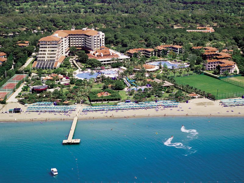 Bellis Deluxe (ех 8974