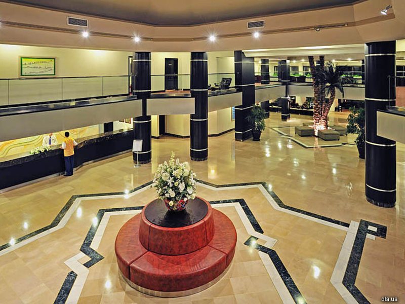 Bellis Deluxe (ех 8976