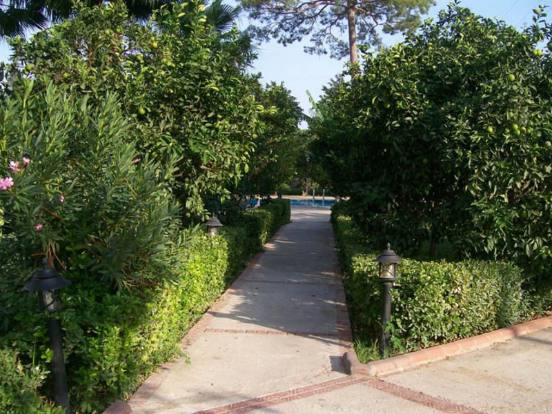 Belpoint Beach Hotel (ex 43183