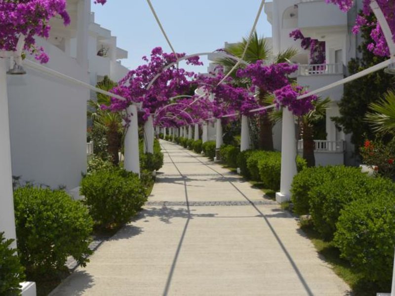 Bendis Beach Hotel (ex 63321