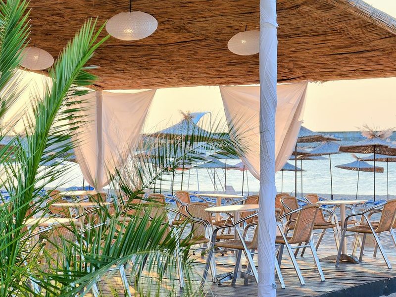 Berlin Green Park  170148