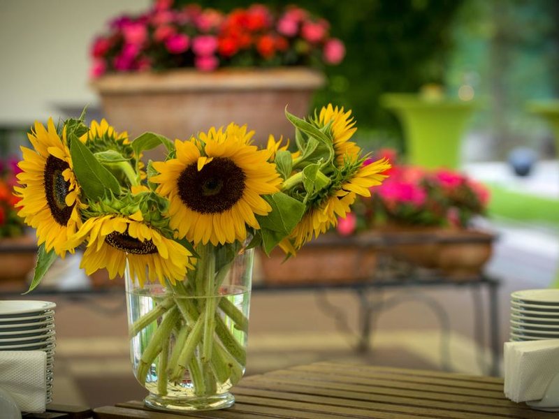 Best Western Expo Hotel 208691