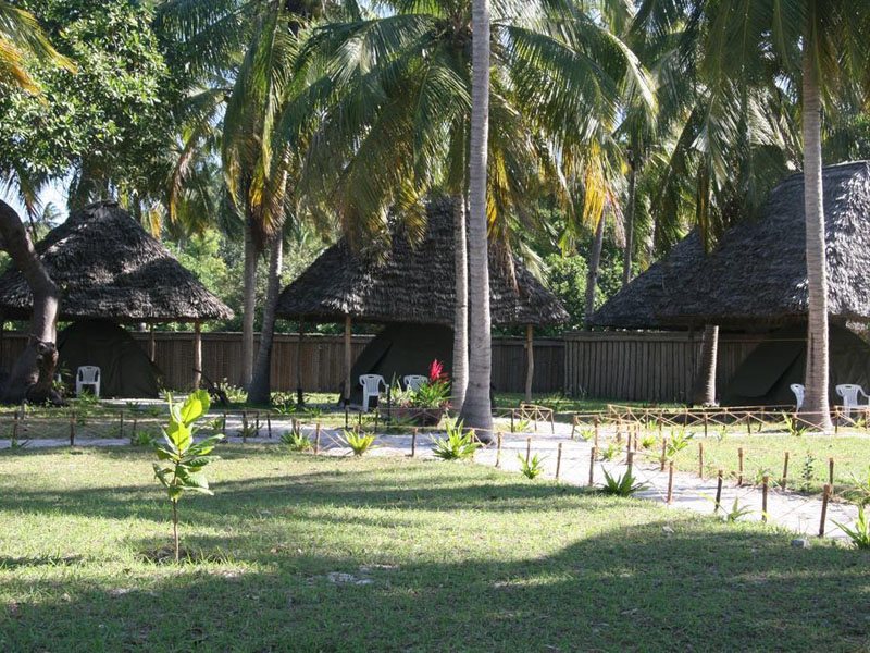 Big Blu Mafia Island 321901