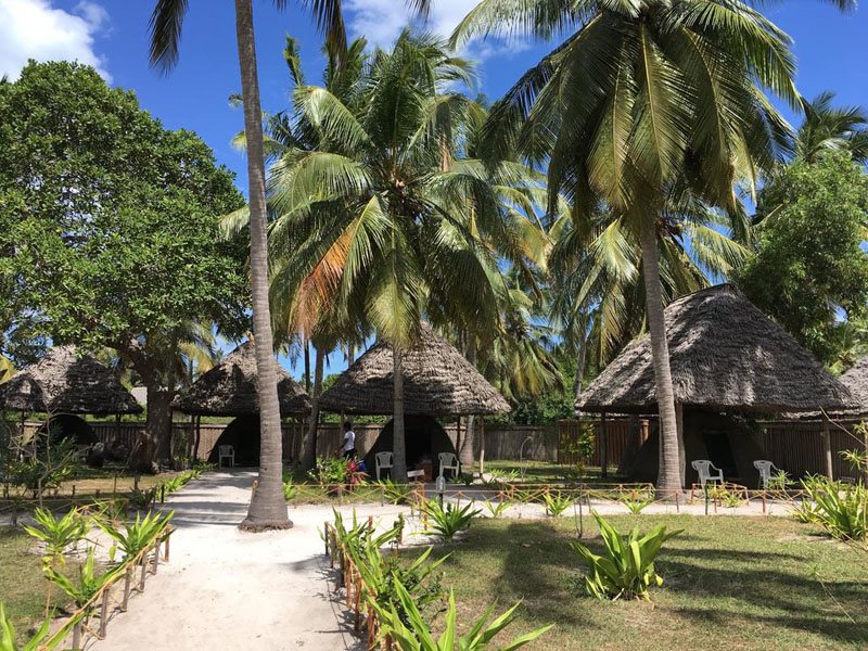 Big Blu Mafia Island 321907