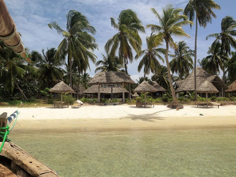 Big Blu Mafia Island 321911