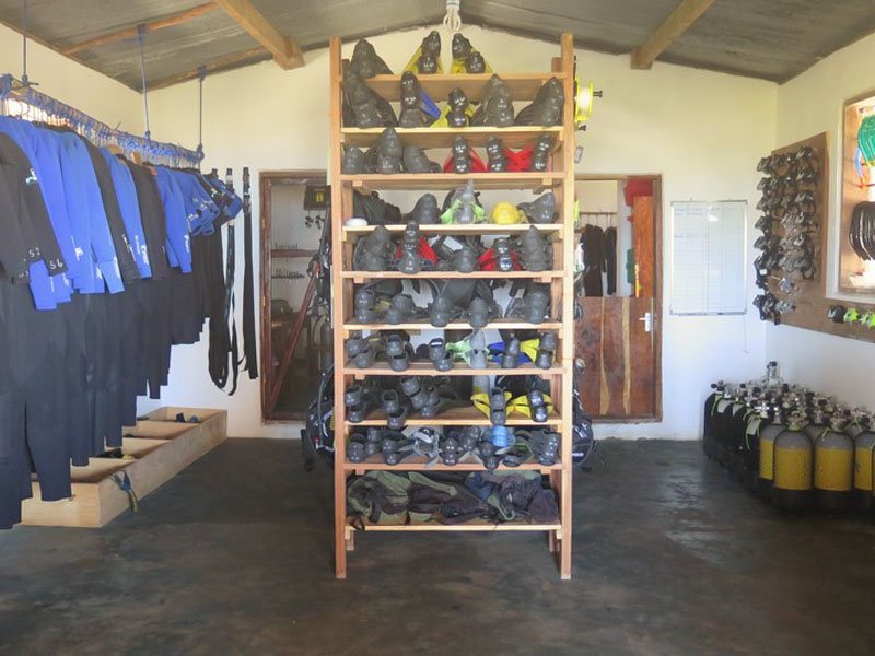 Big Blu Mafia Island 321921