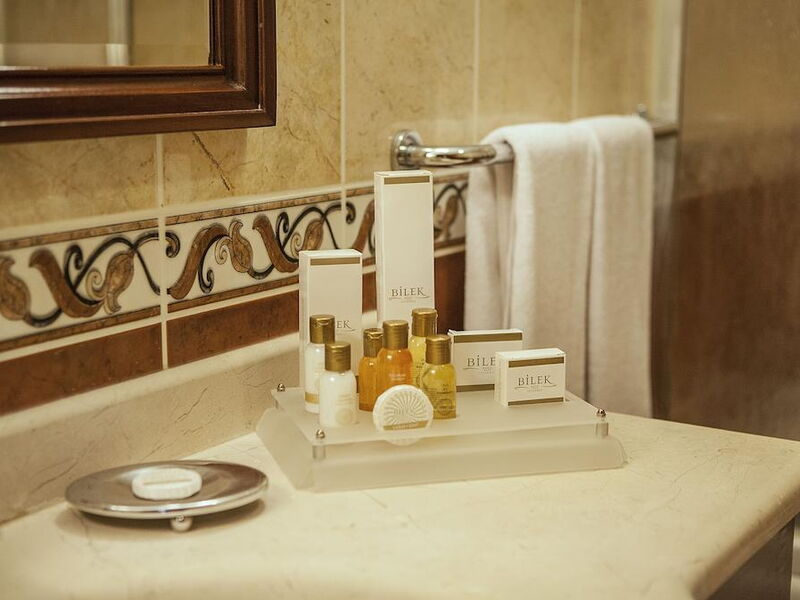 Bilek Hotel Istanbul 240508