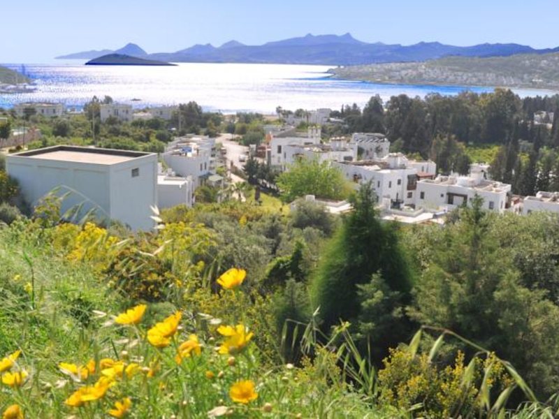 Bitez Antik Hotel 63350