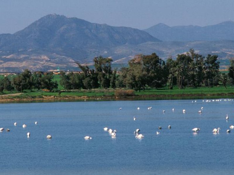 Blazer Residence (ex 81505