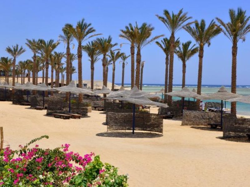 Blend Elphistone Resort Marsa Alam (ex 123674