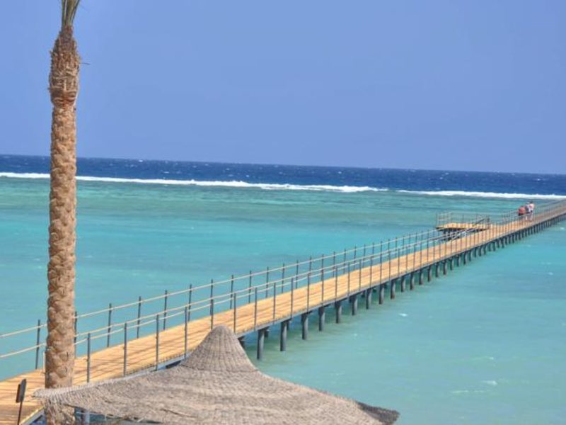 Blend Elphistone Resort Marsa Alam (ex 123695