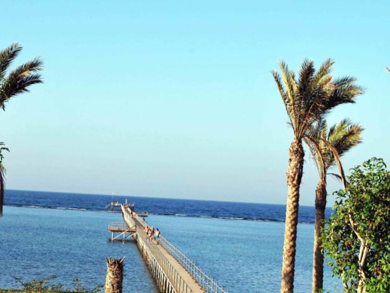 Blend Elphistone Resort Marsa Alam (ex 123697